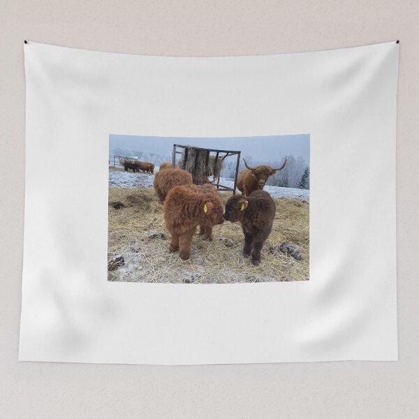 Item preview, Scottish Highland Cattle Calves 4189 designed and sold by SaarelaHighland.