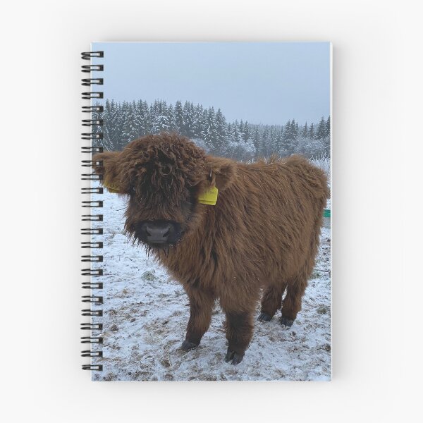 Item preview, Scottish Highland Cattle Calf 4190 designed and sold by SaarelaHighland.