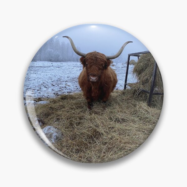 Item preview, Scottish Highland Cattle Cow 4191 designed and sold by SaarelaHighland.
