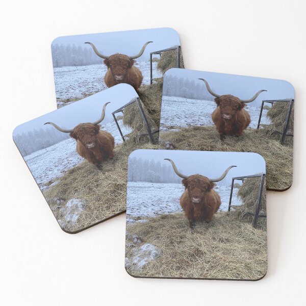 Item preview, Scottish Highland Cattle Cow 4191 designed and sold by SaarelaHighland.
