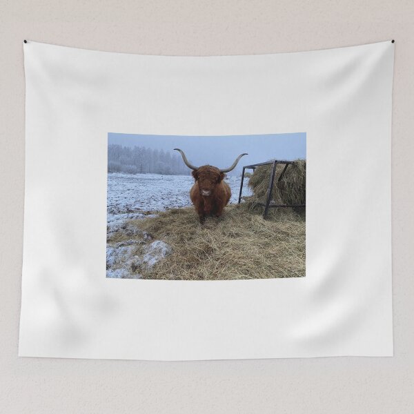 Item preview, Scottish Highland Cattle Cow 4191 designed and sold by SaarelaHighland.