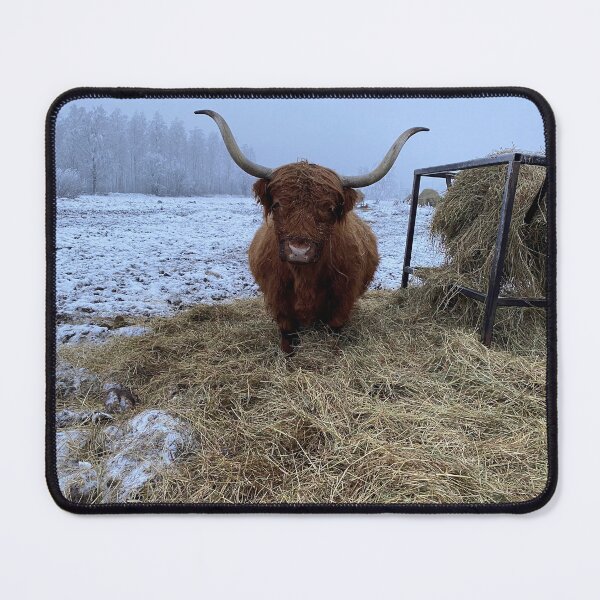 Item preview, Scottish Highland Cattle Cow 4191 designed and sold by SaarelaHighland.