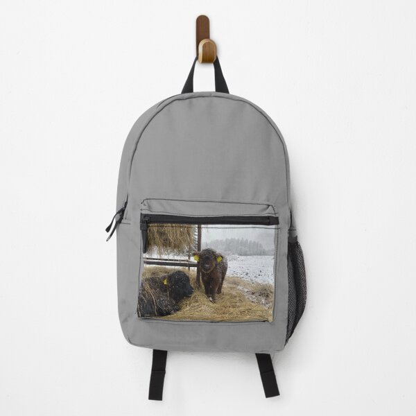 Item preview, Scottish Highland Cattle Calves 4193 designed and sold by SaarelaHighland.