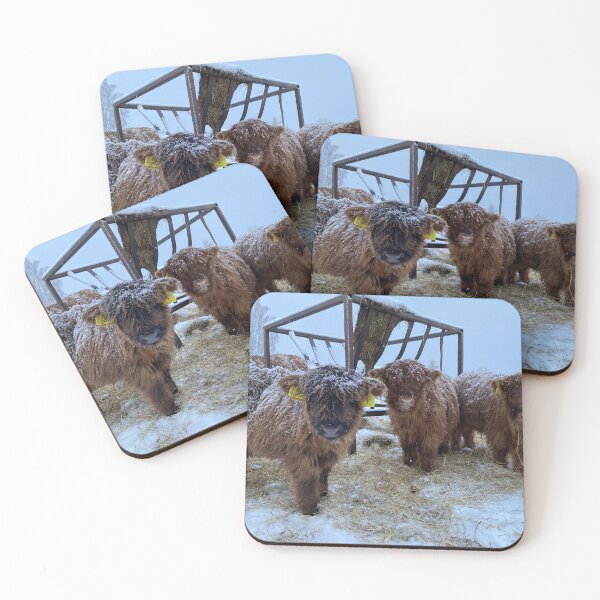 Artikelvorschau, Scottish Highland Cattle Calves 4194 entworfen und verkauft von SaarelaHighland.
