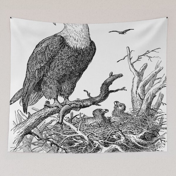 Item preview, "Majestic Flight" Black and White Eagle Wall Art - Animal wall art, eagle home decor, bird lover,  for the love of birds, Prints designed and sold by rdreubss7.
