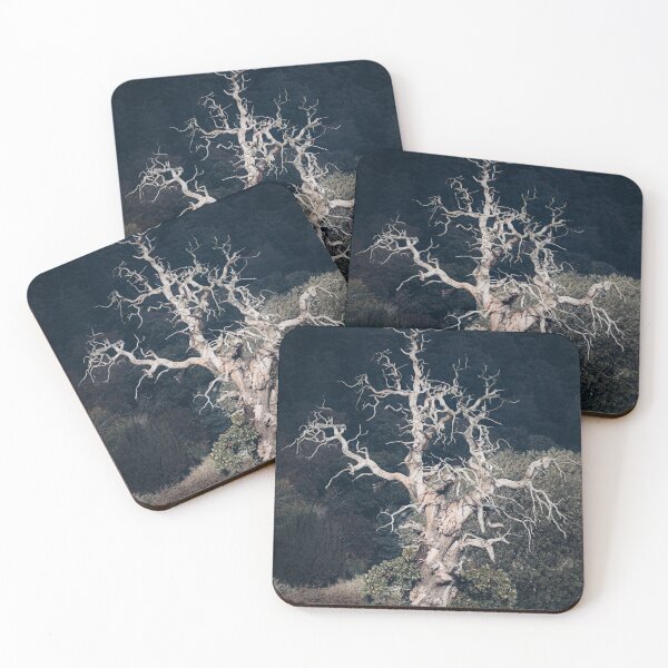 Item preview, Cromwell Tree, Bridge of Earn designed and sold by ShinyPhoto.