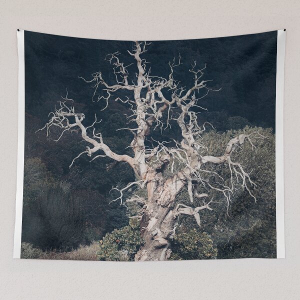 Item preview, Cromwell Tree, Bridge of Earn designed and sold by ShinyPhoto.