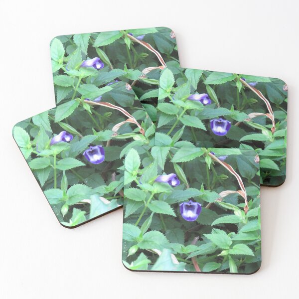 Item preview, Blue and white flowers designed and sold by greentiger1.