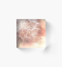 Pink Dandelion Macro Photography Acrylic Block