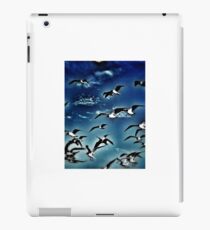 Flying iPad Case/Skin