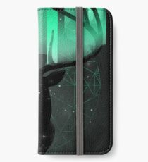 Northern Lights iPhone Wallet/Case/Skin