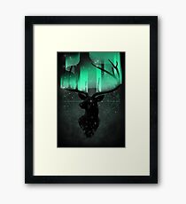 Northern Lights Framed Print
