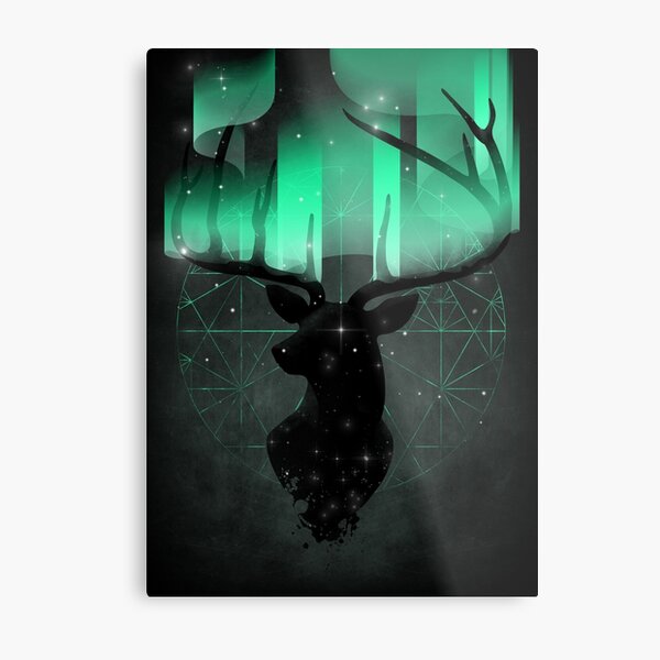 Northern Lights Metal Print