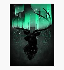 Northern Lights Photographic Print