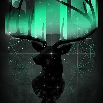 Artwork thumbnail, Northern Lights by angrymonk