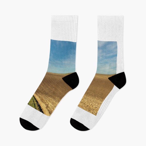 Item preview, Plowed and young green wheat field landscapes designed and sold by goceris.