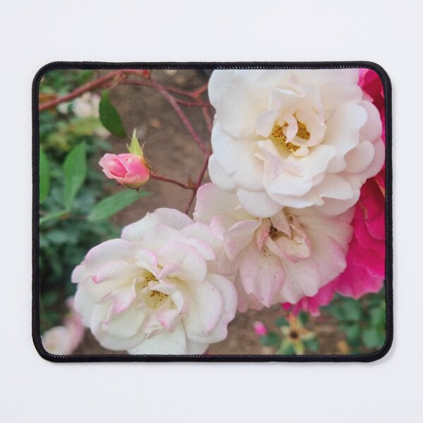 Item preview, Life in Rose I designed and sold by Independiente Art & Design.
