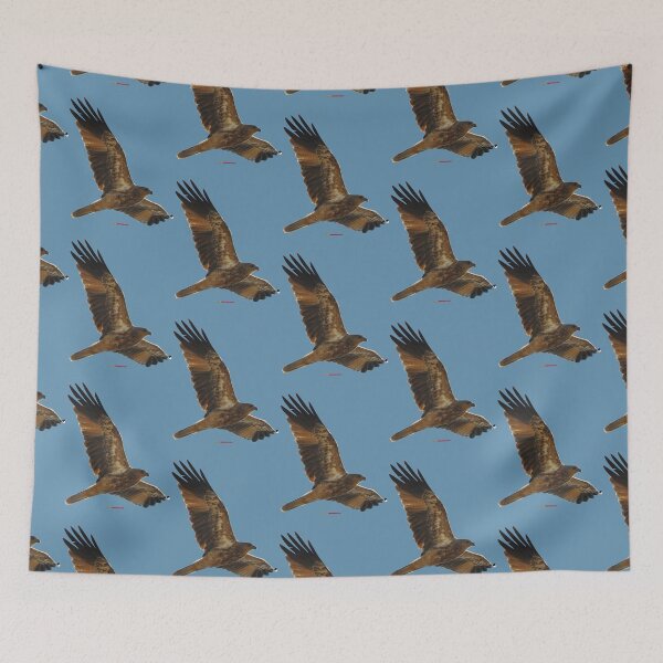 Item preview, Avalon Eagle, Victoria, Australia 2013 designed and sold by muz2142.