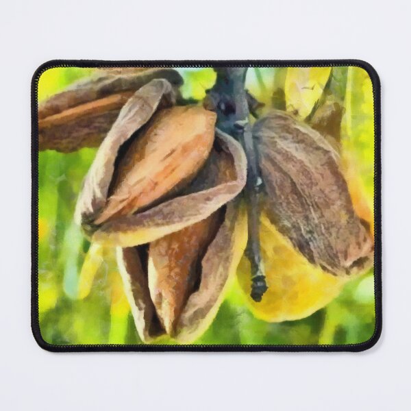 Item preview, Almonds designed and sold by Yorgos Daskalakis.