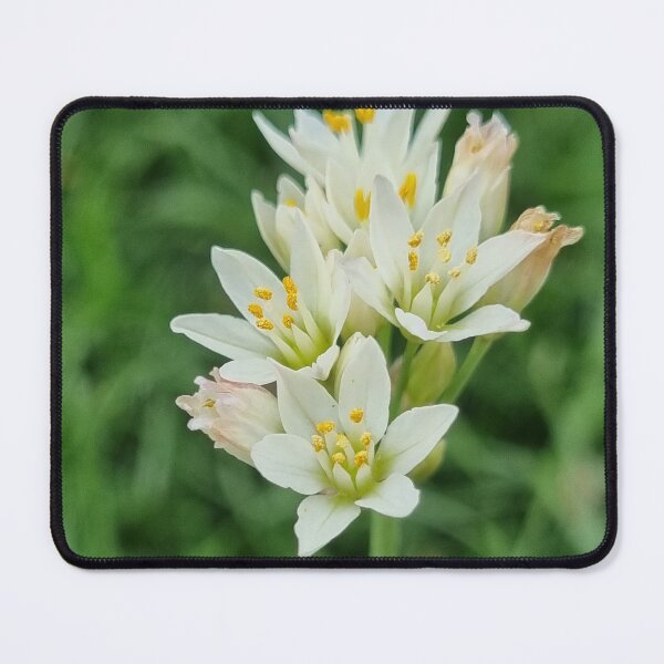 Item preview, Tinker Bell designed and sold by Independiente Art & Design.