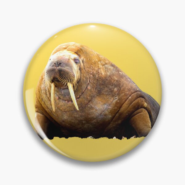 Item preview, WALRUS designed and sold by starfishstuff.