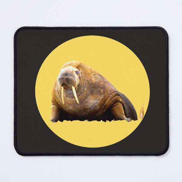 Item preview, WALRUS designed and sold by starfishstuff.