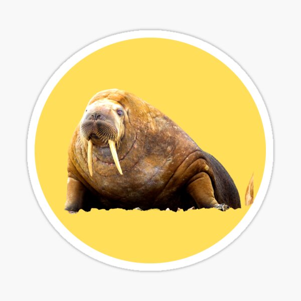 Item preview, WALRUS designed and sold by starfishstuff.