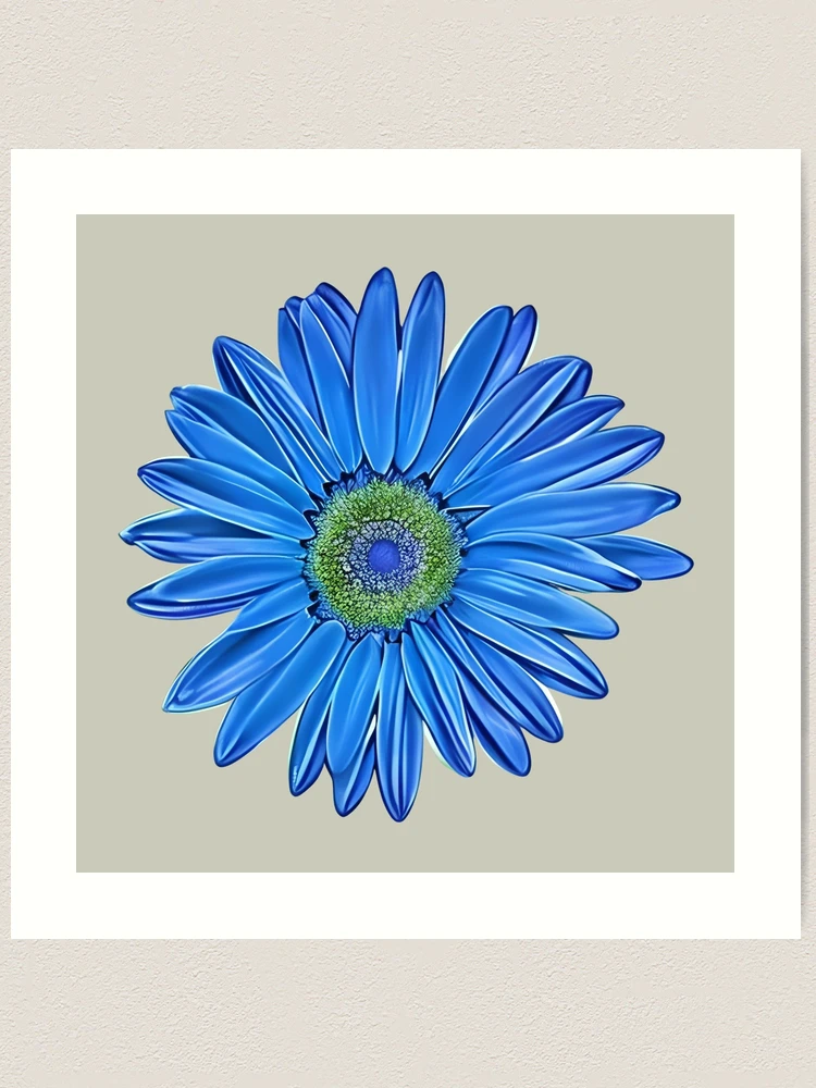  Blue-Green Daisy Gerbera Flower Wall Stickers