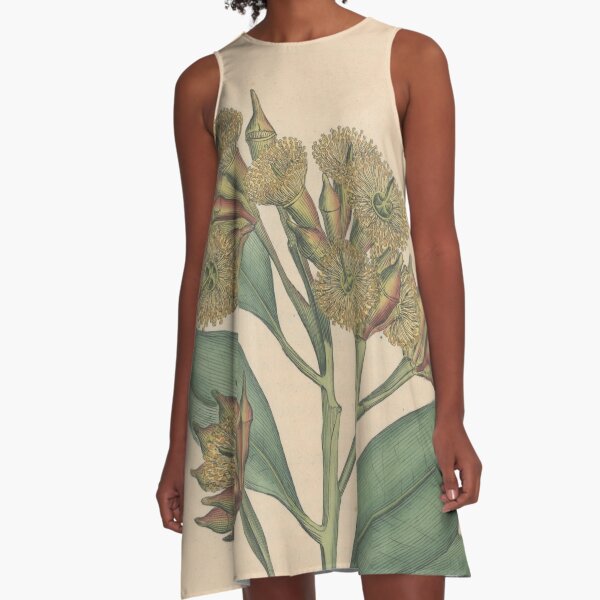 Botanical illustration: Eucalyptus robusta – State Library Victoria A-Line Dress