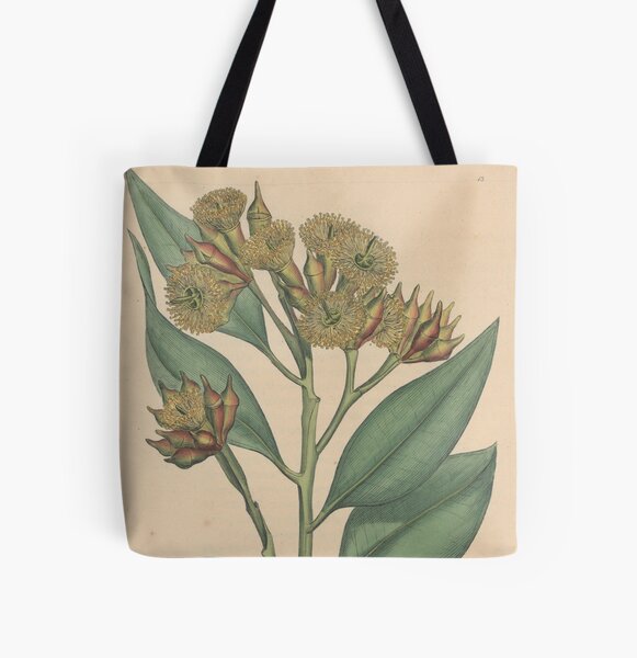 Botanical illustration: Eucalyptus robusta – State Library Victoria All Over Print Tote Bag