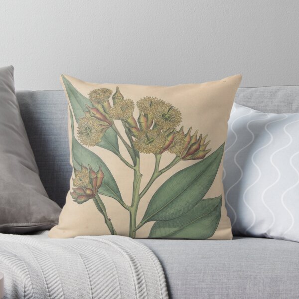Botanical illustration: Eucalyptus robusta – State Library Victoria Throw Pillow