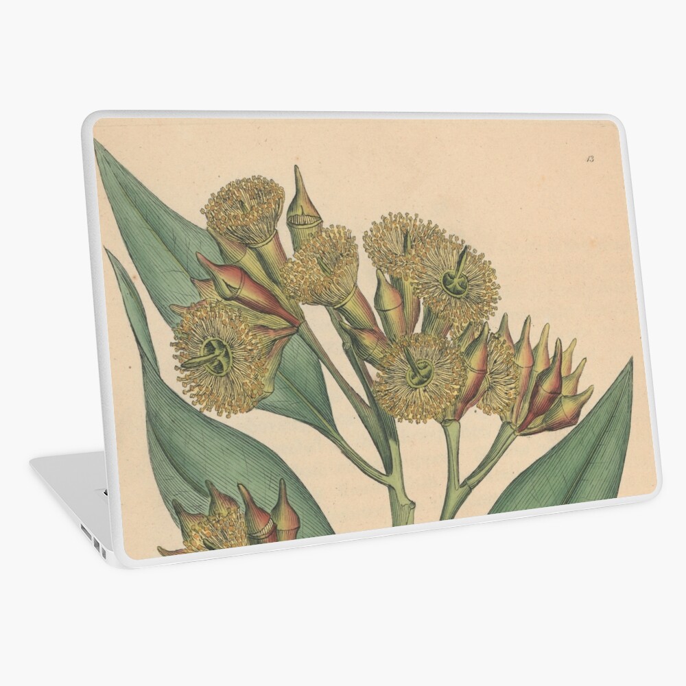 Item preview, Laptop Skin designed and sold by StateLibraryVic.