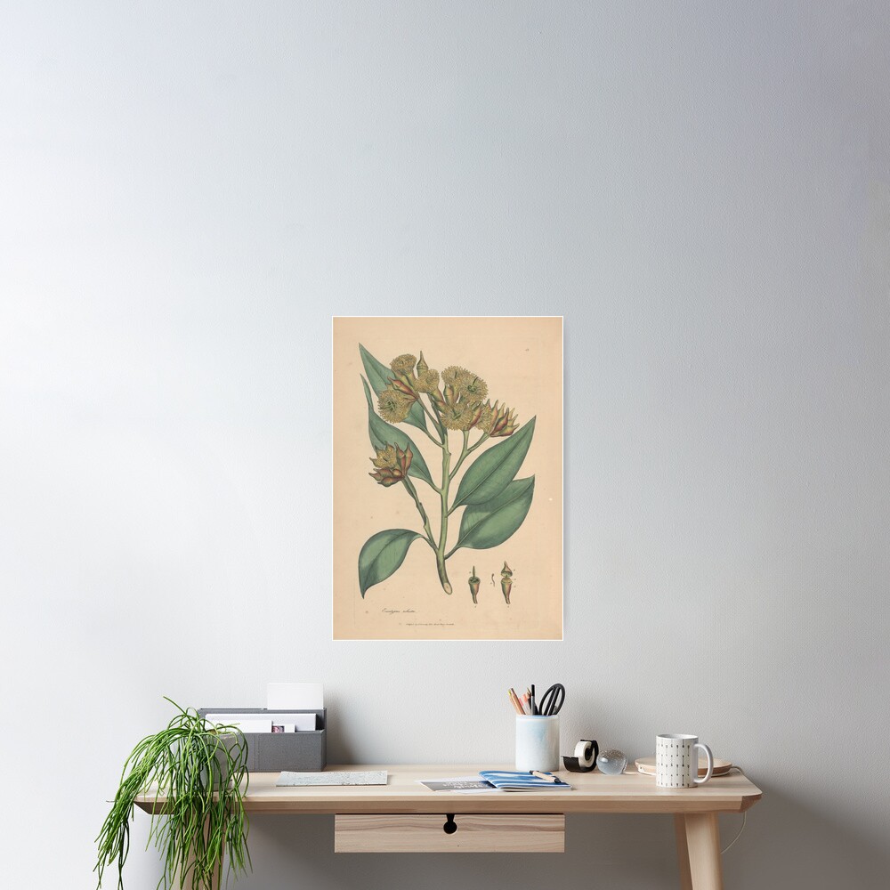 Item preview, Poster designed and sold by StateLibraryVic.