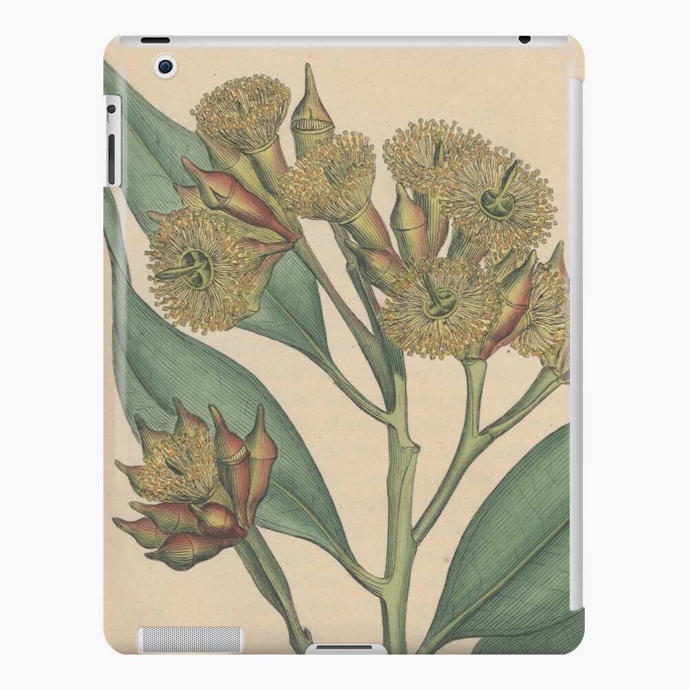 Item preview, iPad Snap Case designed and sold by StateLibraryVic.