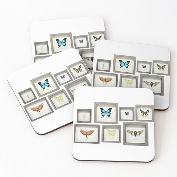 Item preview, Bug sweep! insect collection designed and sold by bromsbugbox.