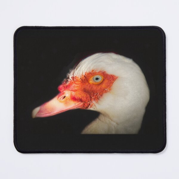 Item preview, Muscovy duck designed and sold by MarieClaude1954.