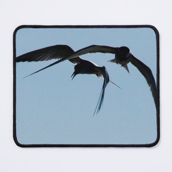 Item preview, Gulls at Play designed and sold by Frank Parisi.