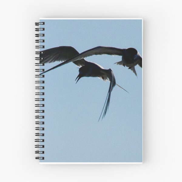 Item preview, Gulls at Play designed and sold by Frank Parisi.