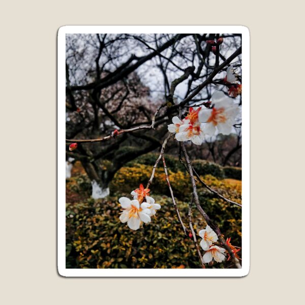 Item preview, Flower designed and sold by fan liang.