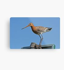 Landing Successful Metal Print