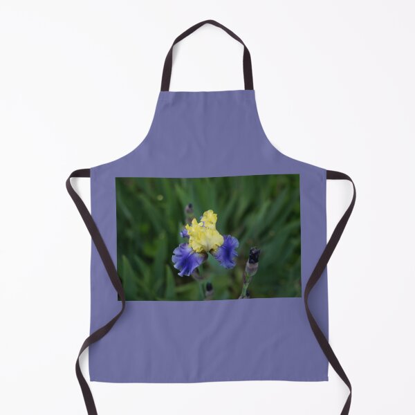 Artikelvorschau, Garten voller Iris entworfen und verkauft von Alanafinephoto.