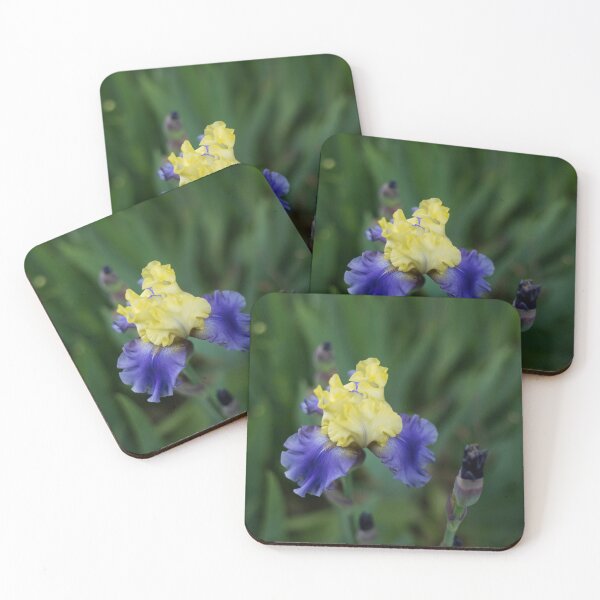 Item preview, Garden Full of Iris designed and sold by Alanafinephoto.