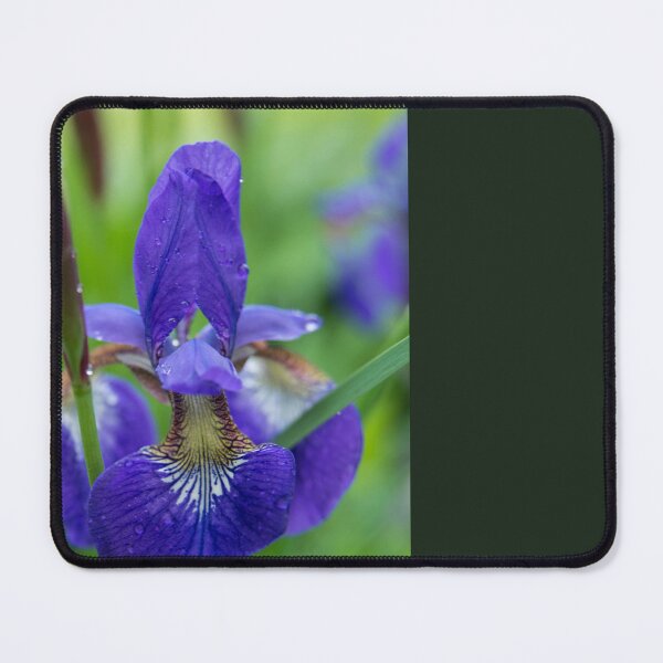 Item preview, Iris designed and sold by Alanafinephoto.