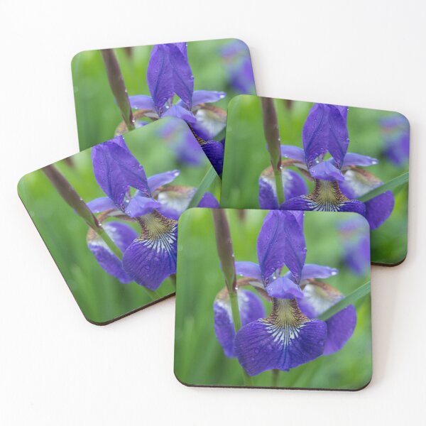 Item preview, Iris designed and sold by Alanafinephoto.