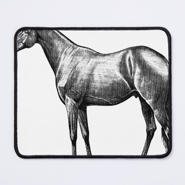 Item preview, "Majestic Equine Beauty" A Stunning Portrait of a Standing Horse Wall Art - Animal wall art, horse home decor, horse lover,  for the love of horses, Prints designed and sold by rdreubss7.