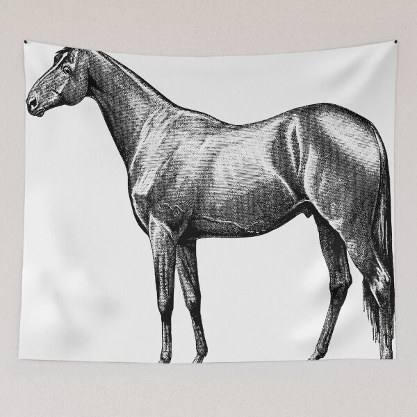 Item preview, "Majestic Equine Beauty" A Stunning Portrait of a Standing Horse Wall Art - Animal wall art, horse home decor, horse lover,  for the love of horses, Prints designed and sold by rdreubss7.