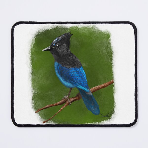 Artikelvorschau, Stellars Jay entworfen und verkauft von Fernheart Designs.