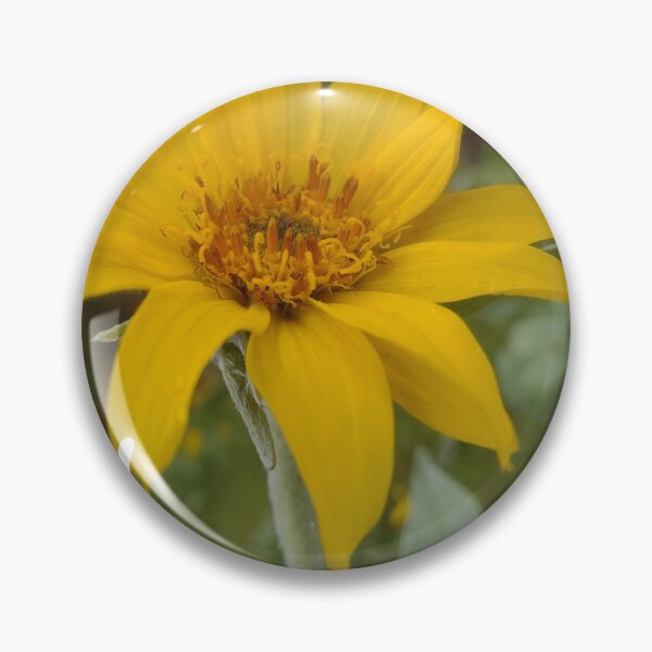 Artikelvorschau, Regnerische gelbe Blume entworfen und verkauft von Mycustomshop24.