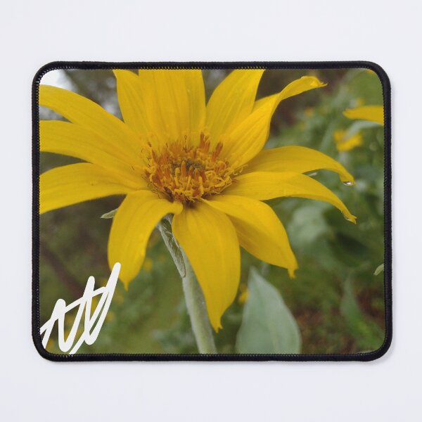 Artikelvorschau, Regnerische gelbe Blume entworfen und verkauft von Mycustomshop24.