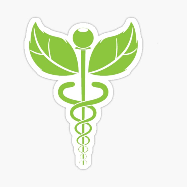 ArtStation - Herbal Ayurveda Logo design